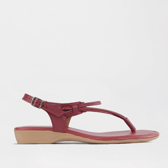 Froggie Leather Sandal | Slingback Sandal | Flat Leather Sandal | South Africa