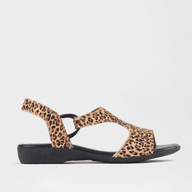 Slingback T-Bar Flat Sandal in Cheetah Tan - Froggie | Leather Shoes ...