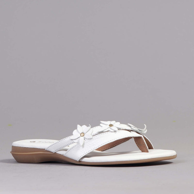 flower thong sandal in white - Froggie | Leather | South Africa ...