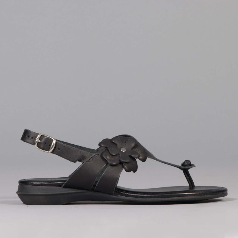 Flower Thong Sandal in Black - Froggie Factory Shop ZA – Froggie Shoes