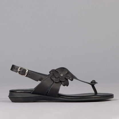 Factory Shop Shoes 3 / Black / 12621 Flower Thong Sandal in Black - 12621