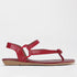 Factory Shop Shoes 4 / Red / 12548 Elasticated Slingback Thong in Red - 12548