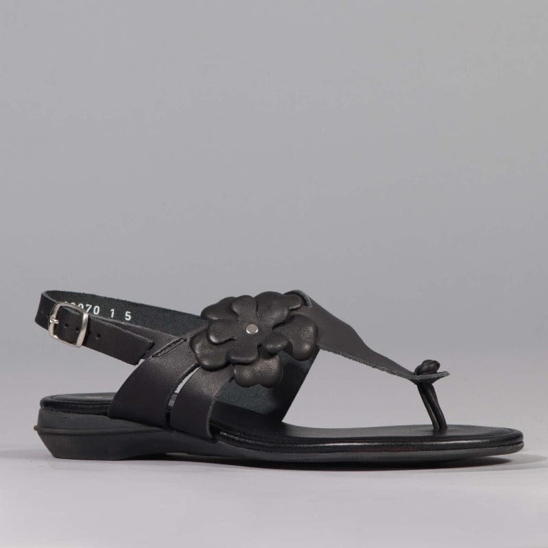 Factory Shop Shoes Flower Thong Sandal in Black - 12621