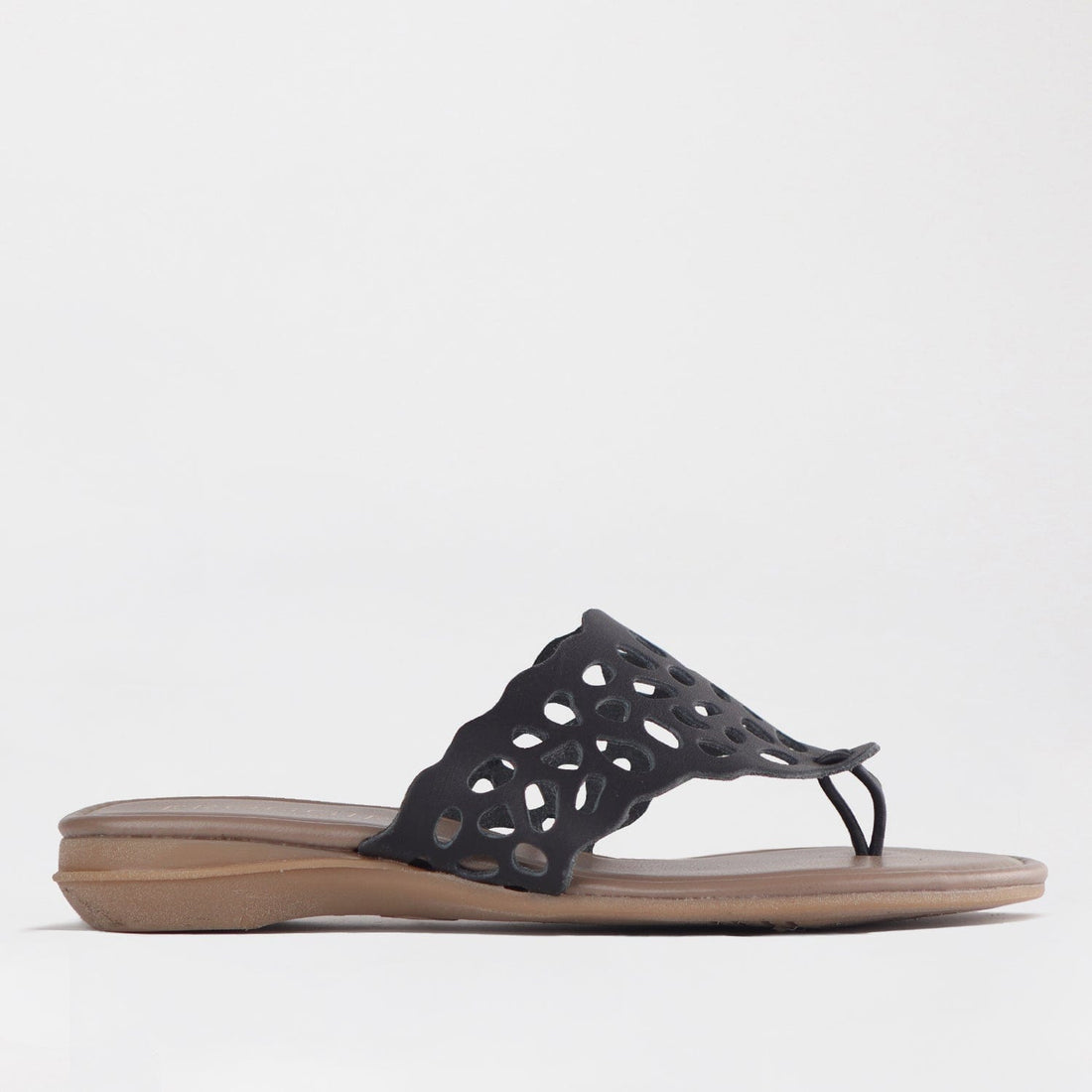 Froggie Shoes Shoes 3 / Black / 12813 Thong Flat Sandal in Black - 12813