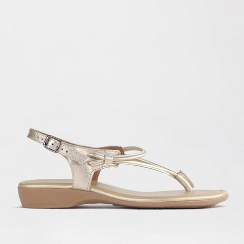 Women's Thong Flat Sandal in Gold- 10732