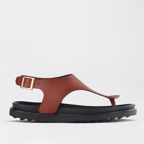 Toe Thong Sandal in Chestnut - 12692