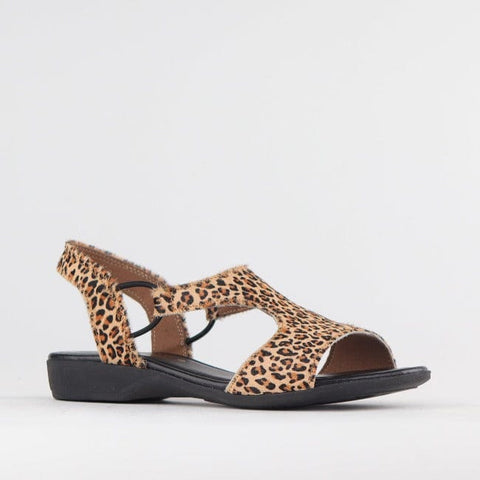 Slingback T-Bar Flat Sandal in Cheetah Tan - 12104